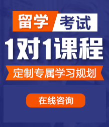 扣逼的网站链接留学考试一对一精品课